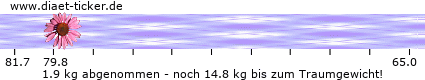 http://www.diaet-ticker.de/pic/weight_loss/132808/.png